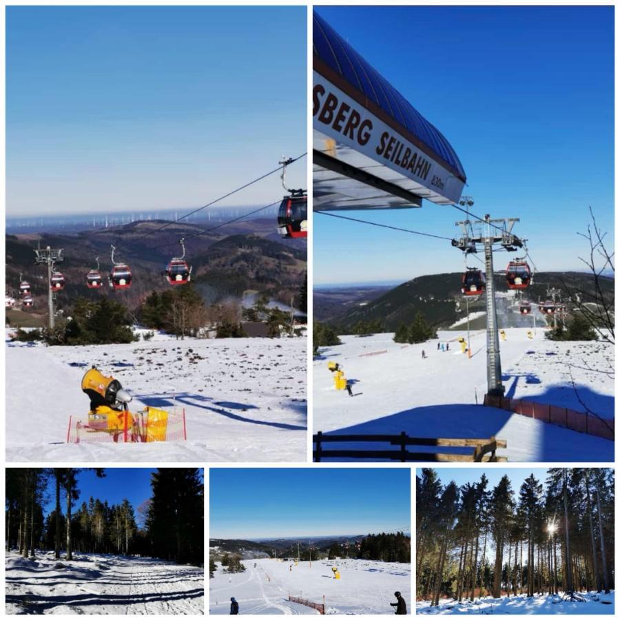 Diemelseeholiday Romantisches Ferienhaus Im Sauerland Naehe Willingen Winterberg Eksteriør bilde